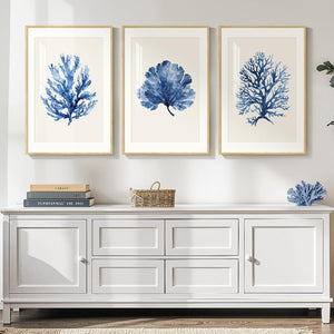 Coral Watercolor Wall Art Set of 3 Framed