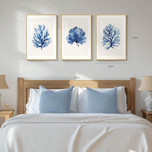 Coral Watercolor Wall Art Set of 3 Framed